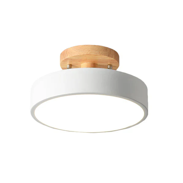 Nordic LED Ceiling Light with Modern Design and Gold Accent Lighting