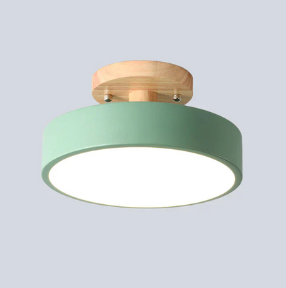 Nordic LED Ceiling Light with Modern Design and Gold Accent Lighting