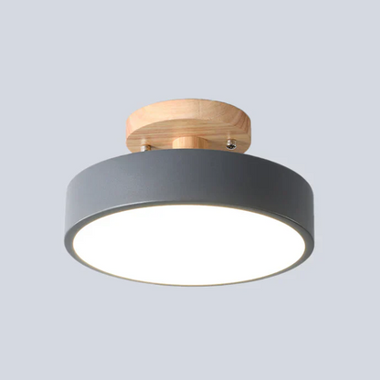 Nordic LED Ceiling Light with Modern Design and Gold Accent Lighting