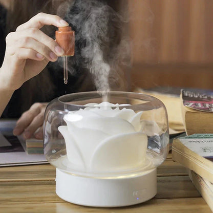 Elegant Ultrasonic Humidifier with LED – Aroma Diffuser for Pleasant Indoor Air