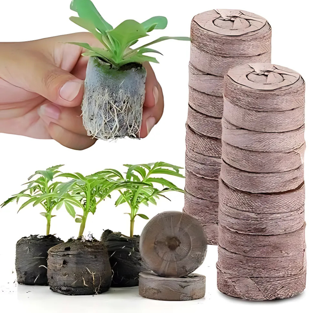 Coconut Fiber Peat Germination Pellets – Seed Planting Starter for Optimal Germination