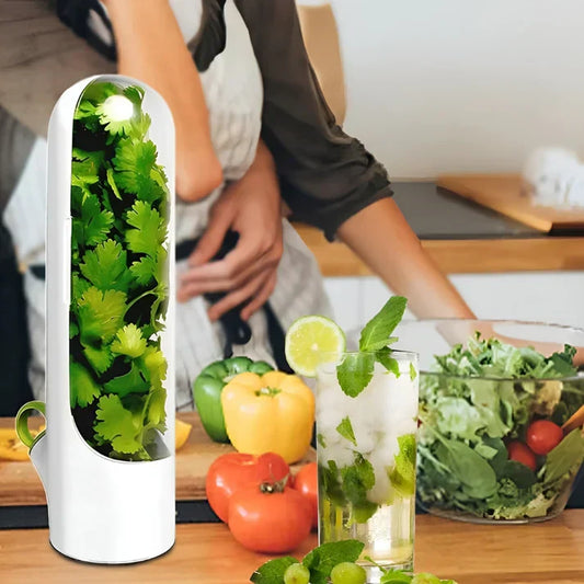 Herb Storage Container with Airtight Seal – Fresh-Keeping Container for Herbs and Spices