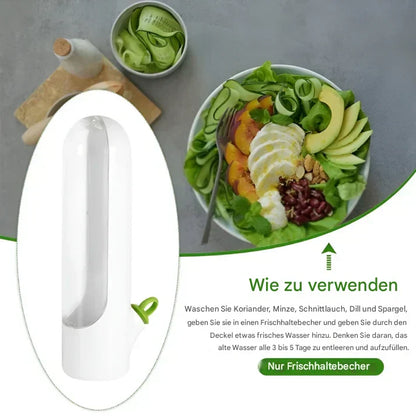 Herb Storage Container with Airtight Seal – Fresh-Keeping Container for Herbs and Spices