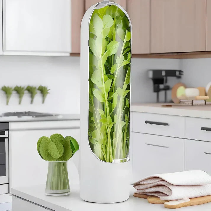 Herb Storage Container with Airtight Seal – Fresh-Keeping Container for Herbs and Spices