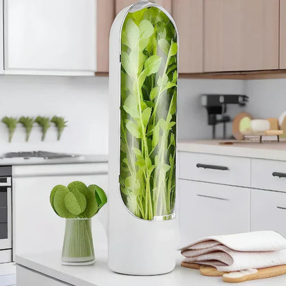 Herb Storage Container with Airtight Seal – Fresh-Keeping Container for Herbs and Spices