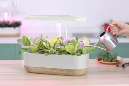 Smart Indoor Hydroponic Growing System – Soil-Free Plant Cultivation for Home and Apartment