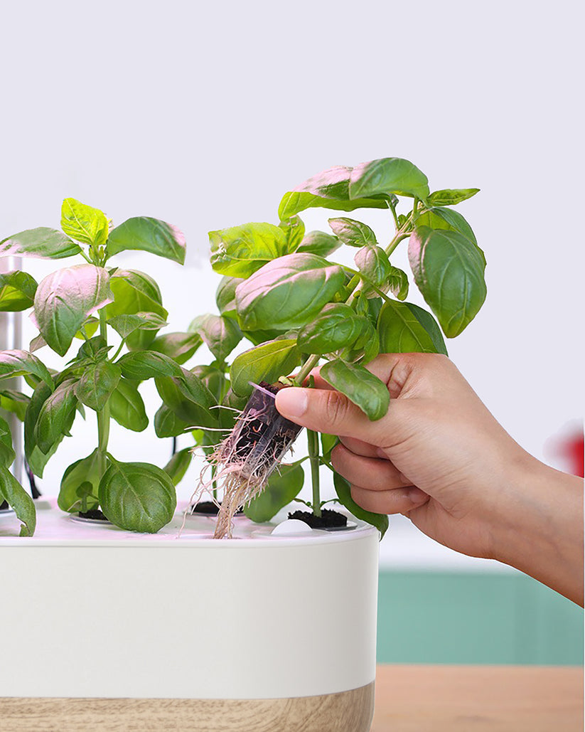 Smart Indoor Hydroponic Growing System – Soil-Free Plant Cultivation for Home and Apartment