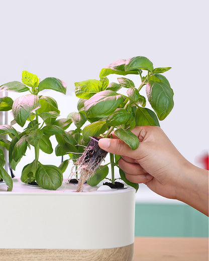 Smart Indoor Hydroponic Growing System – Soil-Free Plant Cultivation for Home and Apartment
