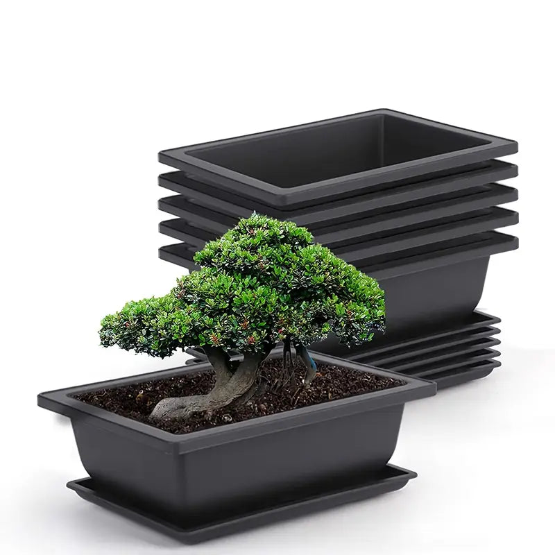 Rectangular Planter with Saucer – Ideal for Garden and Balcony