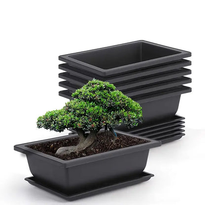 Rectangular Planter with Saucer – Ideal for Garden and Balcony