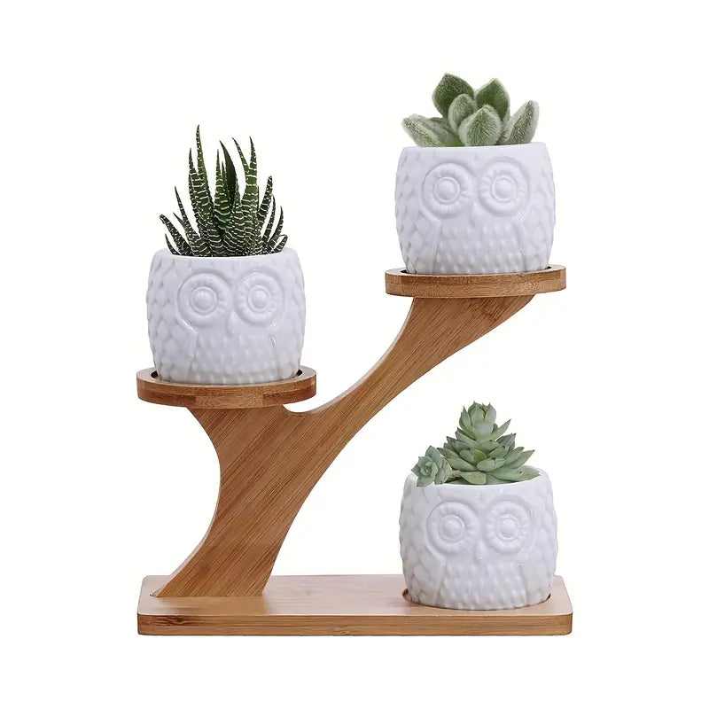 Decorative wooden owl plant stand – planter for succulents and indoor plants