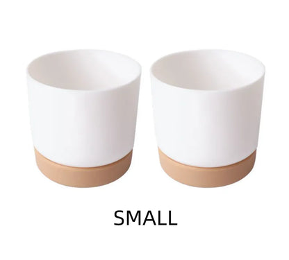 Self-Watering Orchid Planter Pot – Plastic Flower Pot with Watering System for Plant Care