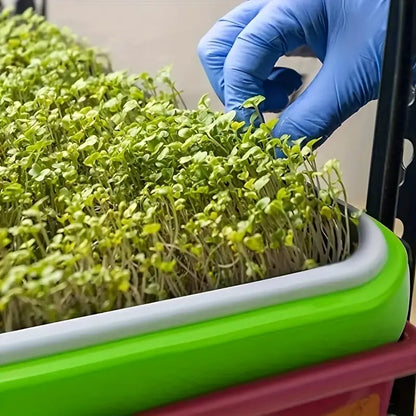 Double-Layer Seed Germination Trays with Lid – Efficient Seed Starting Tray for Optimal Seed Germination