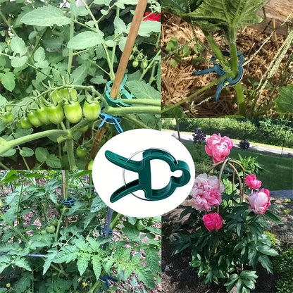 Garden Clip Set – Plant Loops for Supporting Plants and Garden Care