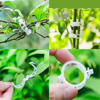 Flexible Plant Support Clip for Climbing Plants – Holder for Stems and Vines