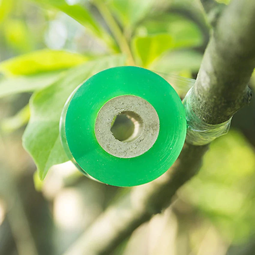 Self-Adhesive Grafting Tape for Plants – Ideal for Pruning and Plant Grafting