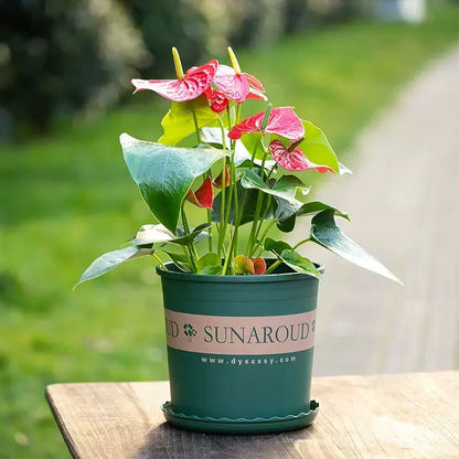 Weather-Resistant Plastic Plant Pot – Durable Flower Pot for Garden, Balcony, and Patio