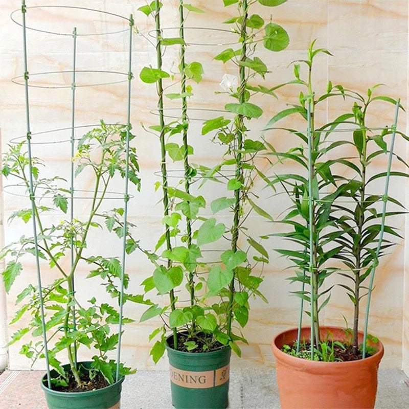 Stable Climbing Frame for Plants – Sturdy Support Ring for Climbing Plants and Vines in the Garden