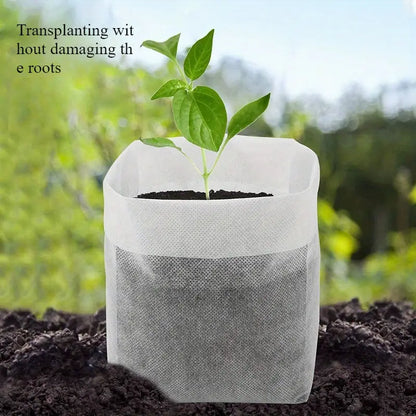 Non-Woven Fabric Planting Bags – Compostable Seedling Grow Bags for Plants