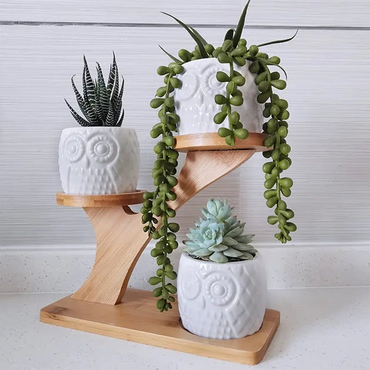 Decorative wooden owl plant stand – planter for succulents and indoor plants
