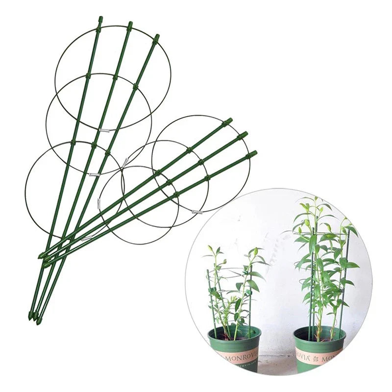 Stable Climbing Frame for Plants – Sturdy Support Ring for Climbing Plants and Vines in the Garden