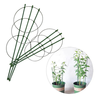 Stable Climbing Frame for Plants – Sturdy Support Ring for Climbing Plants and Vines in the Garden