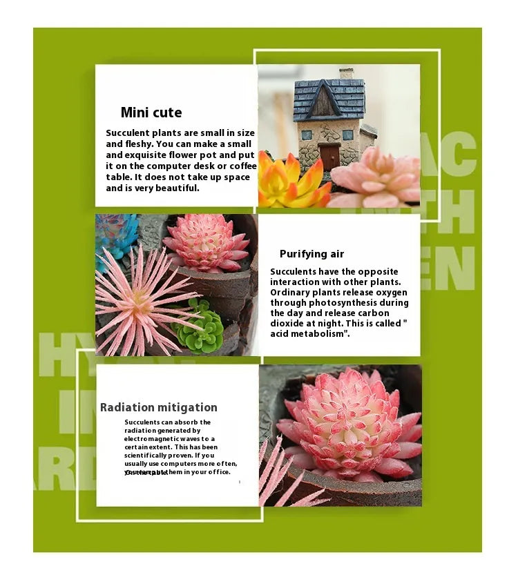 Succulent Decorative Flower Pot for Mini Gardens – Bonsai Planter for Micro Landscapes and Small Gardens