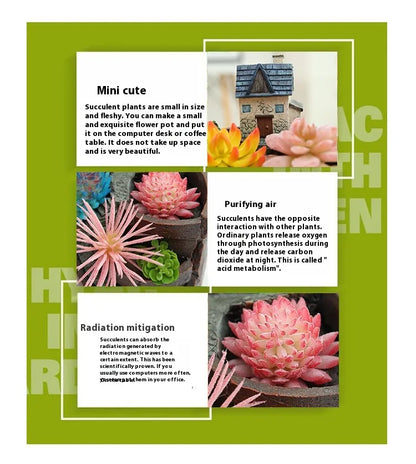 Succulent Decorative Flower Pot for Mini Gardens – Bonsai Planter for Micro Landscapes and Small Gardens