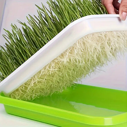 Double-Layer Seed Germination Trays with Lid – Efficient Seed Starting Tray for Optimal Seed Germination