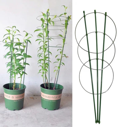 Stable Climbing Frame for Plants – Sturdy Support Ring for Climbing Plants and Vines in the Garden