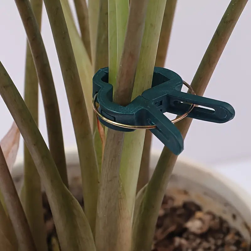 Garden Clip Set – Plant Loops for Supporting Plants and Garden Care