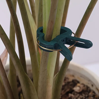 Garden Clip Set – Plant Loops for Supporting Plants and Garden Care