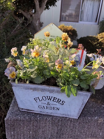 Decorative Metal Planter with Hemp Rope Handles – Durable Garden Container for Plants and Flowers
