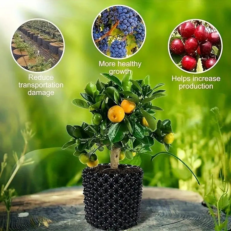 Root Protection System for Plants – Effective Control and Promotion of Healthy Growth