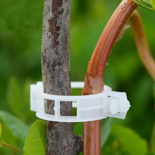 Flexible Plant Support Clip for Climbing Plants – Holder for Stems and Vines