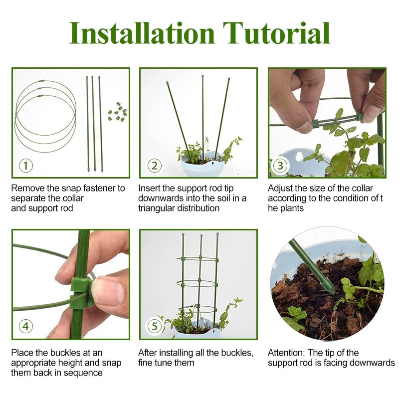Stable Climbing Frame for Plants – Sturdy Support Ring for Climbing Plants and Vines in the Garden