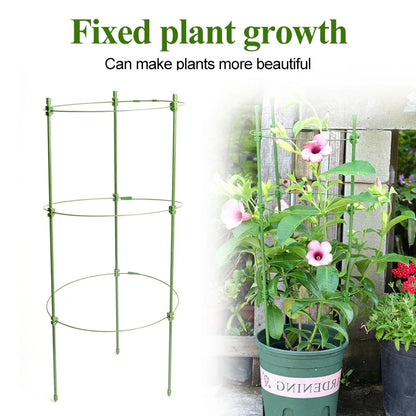 Stable Climbing Frame for Plants – Sturdy Support Ring for Climbing Plants and Vines in the Garden