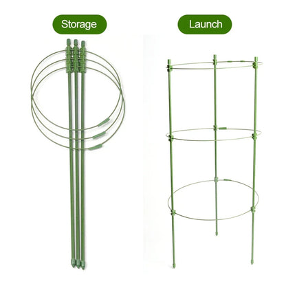 Stable Climbing Frame for Plants – Sturdy Support Ring for Climbing Plants and Vines in the Garden