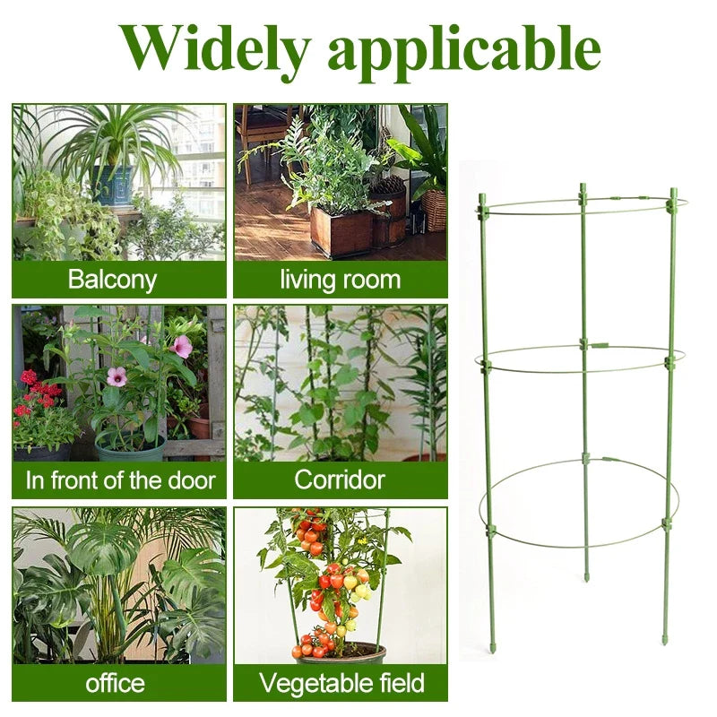 Stable Climbing Frame for Plants – Sturdy Support Ring for Climbing Plants and Vines in the Garden