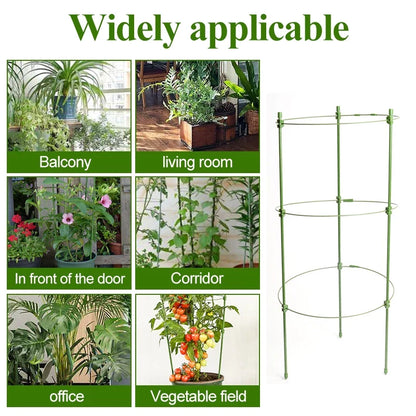 Stable Climbing Frame for Plants – Sturdy Support Ring for Climbing Plants and Vines in the Garden
