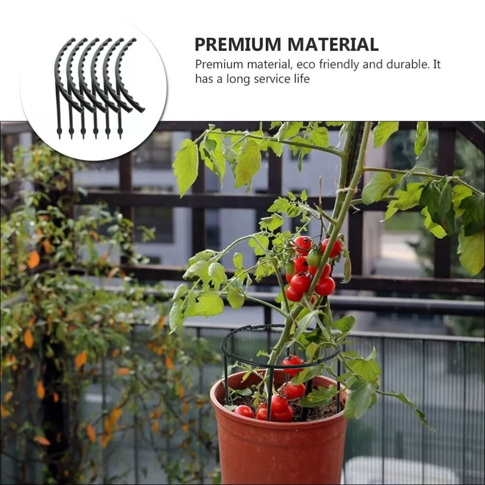 Sturdy Plant Climbing Support – Cage-Design Holder for Growth and Stability
