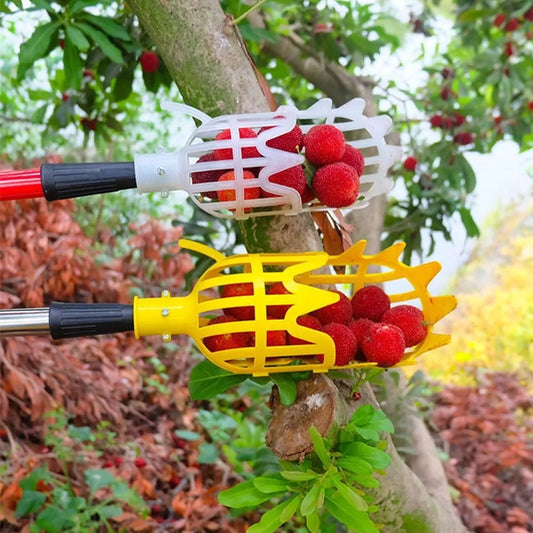 Fruit Picker for Harvesting – Practical Harvesting Tool for Trees and Shrubs