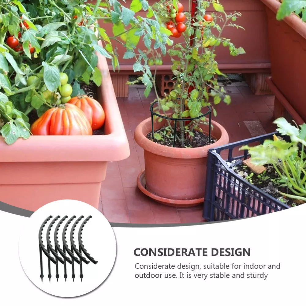 Sturdy Plant Climbing Support – Cage-Design Holder for Growth and Stability