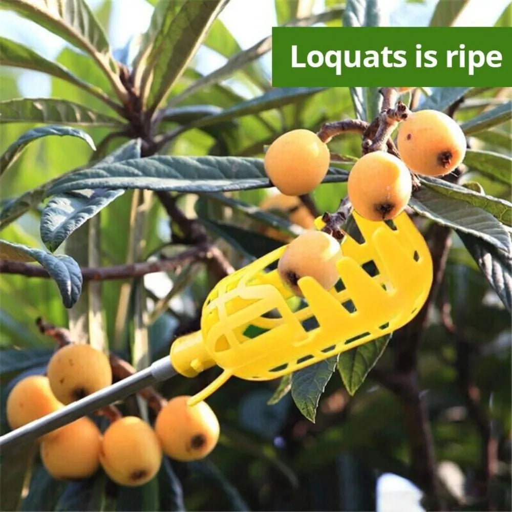 Fruit Picker for Harvesting – Practical Harvesting Tool for Trees and Shrubs