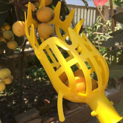 Fruit Picker for Harvesting – Practical Harvesting Tool for Trees and Shrubs