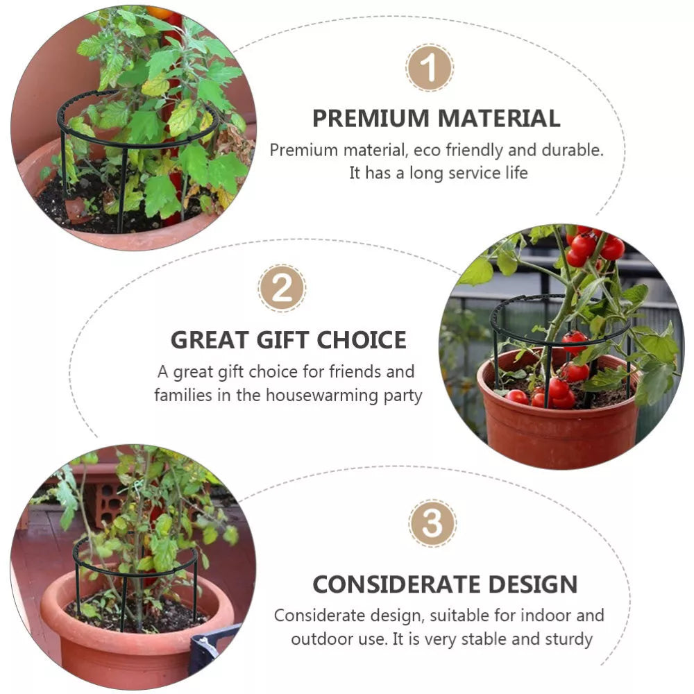 Sturdy Plant Climbing Support – Cage-Design Holder for Growth and Stability
