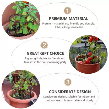 Sturdy Plant Climbing Support – Cage-Design Holder for Growth and Stability